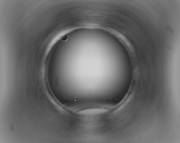 X0000114511432200910191123