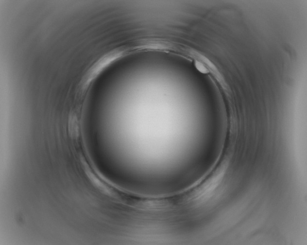 X0000114511433200910191123
