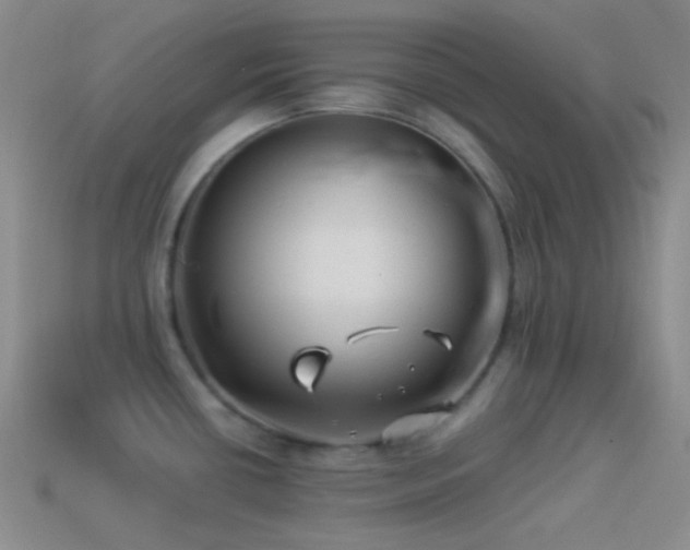 X0000114511434200910191123