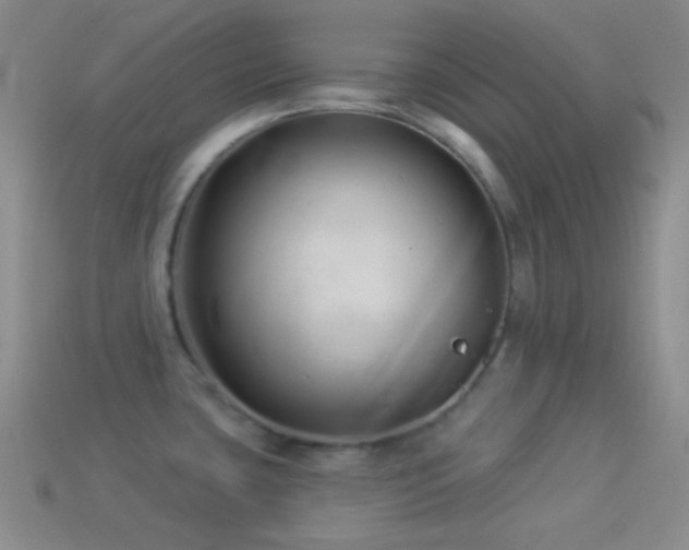X0000114511435200910191123