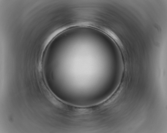 X0000114511436200910191123
