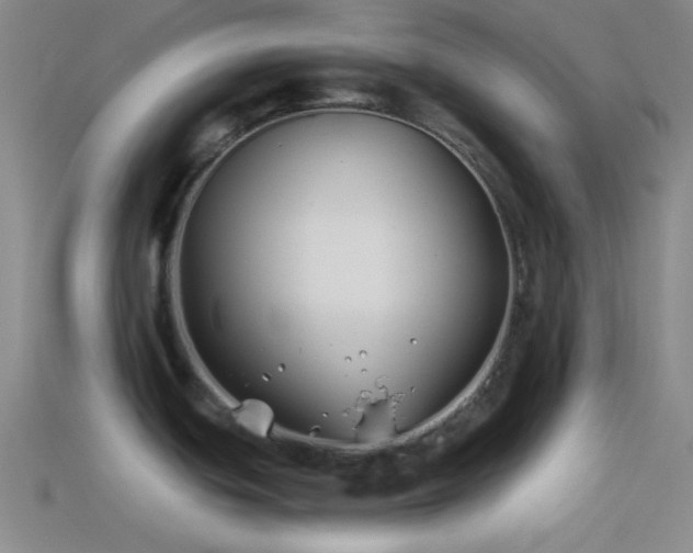 X0000114511439200910191123