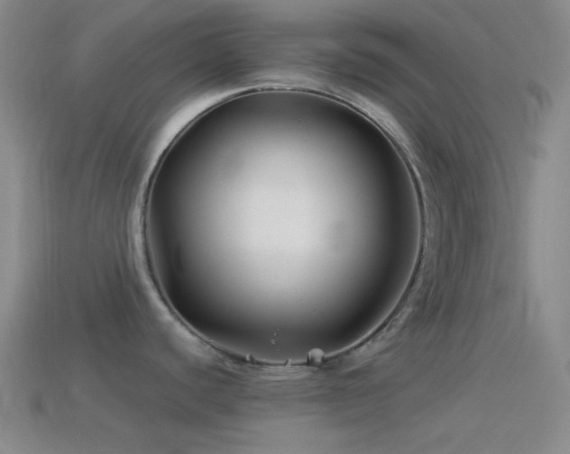 X0000114511440200910191123