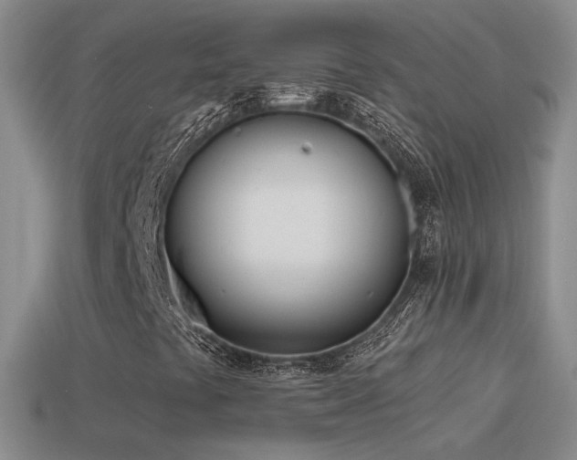 X0000114511441200910191123