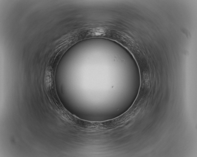 X0000114511442200910191123
