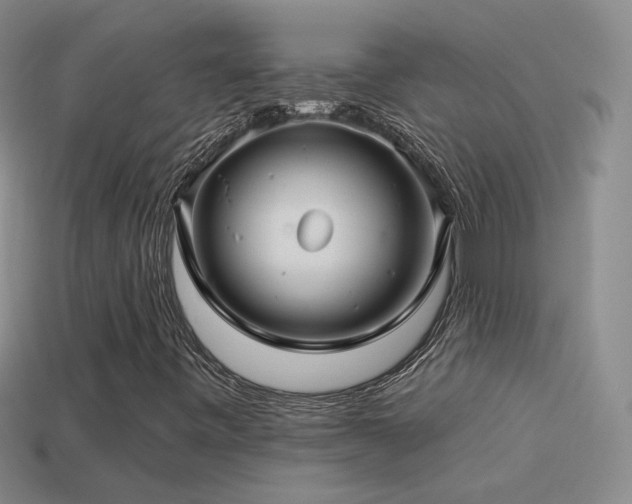 X0000114511443200910191123