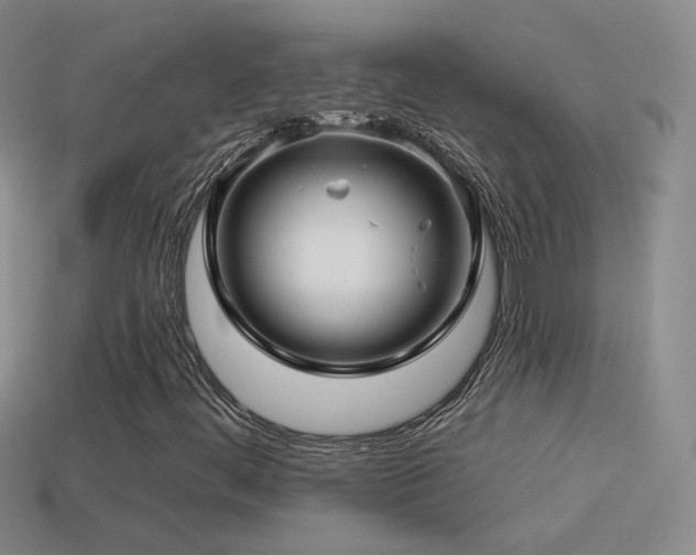 X0000114511444200910191123