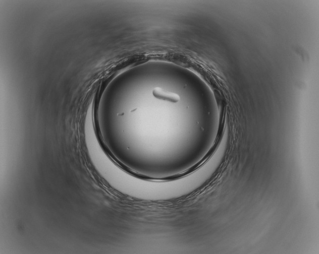 X0000114511445200910191123