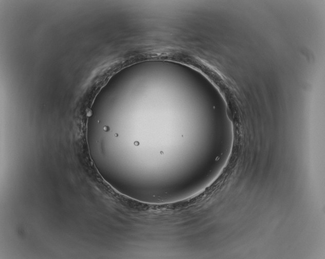 X0000114511447200910191123