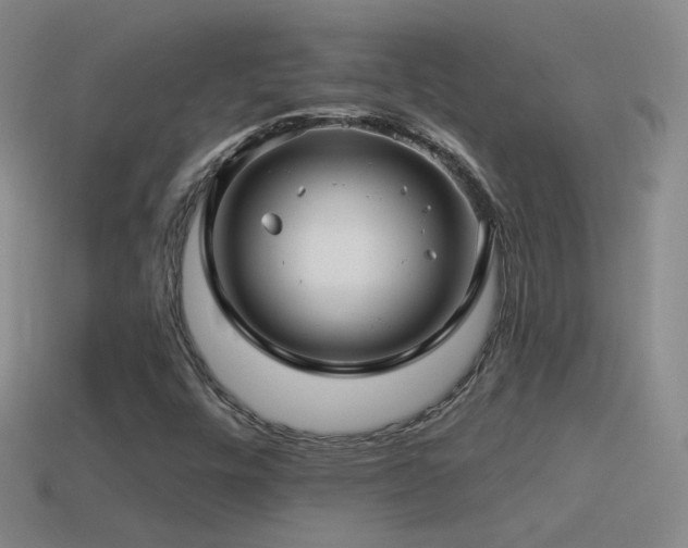 X0000114511448200910191122