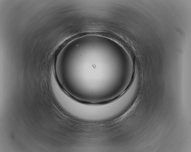 X0000114511449200910191122