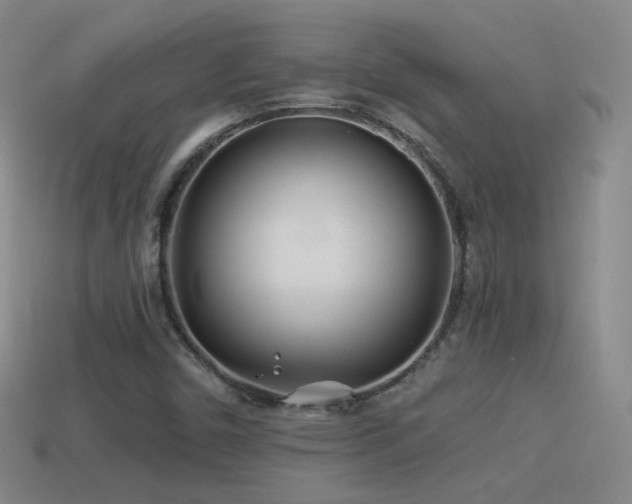 X0000114511450200910191122