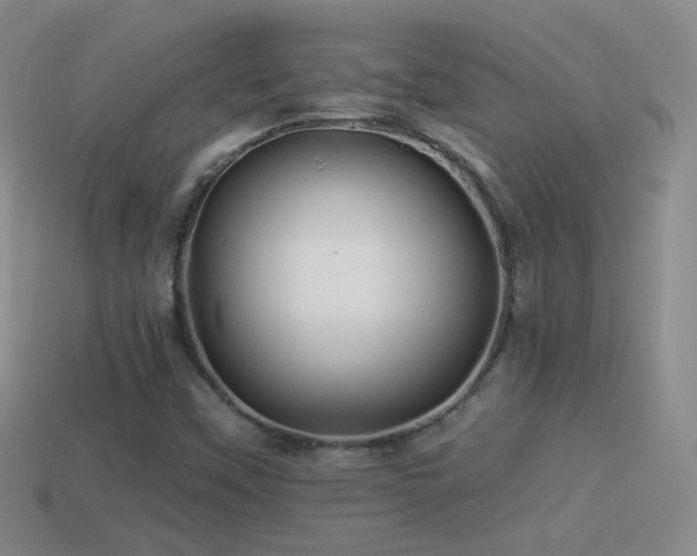 X0000114511451200910191122