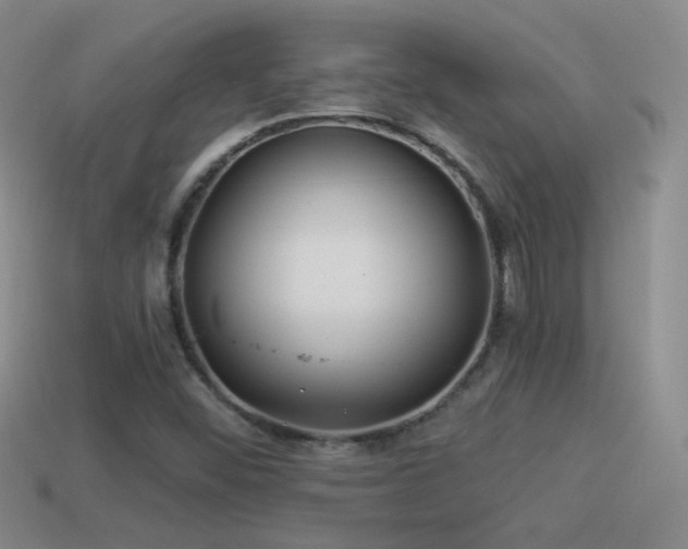 X0000114511452200910191122