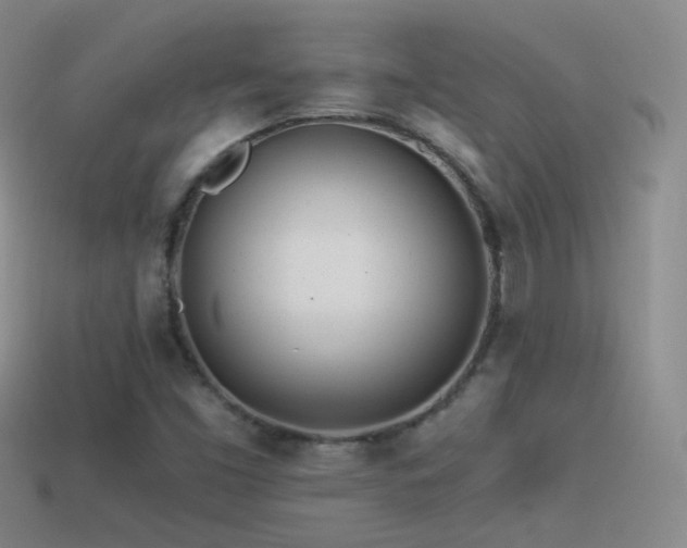 X0000114511453200910191122