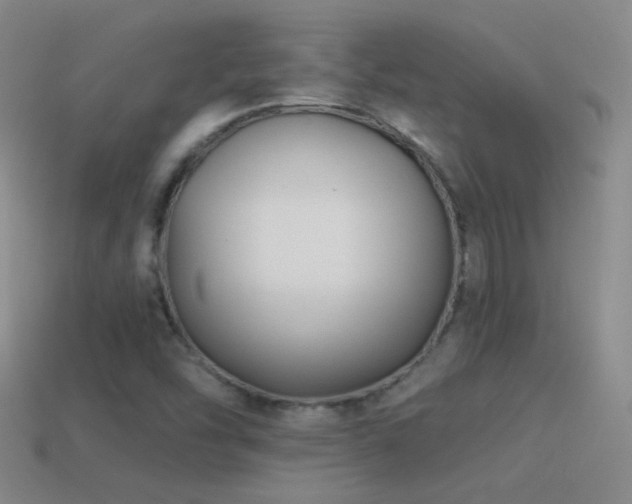 X0000114511454200910191122