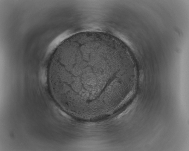 X0000114511455200910191122