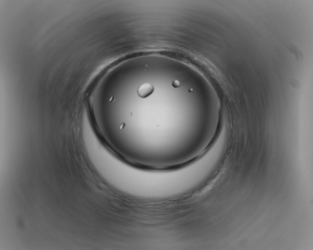 X0000114511457200910191122