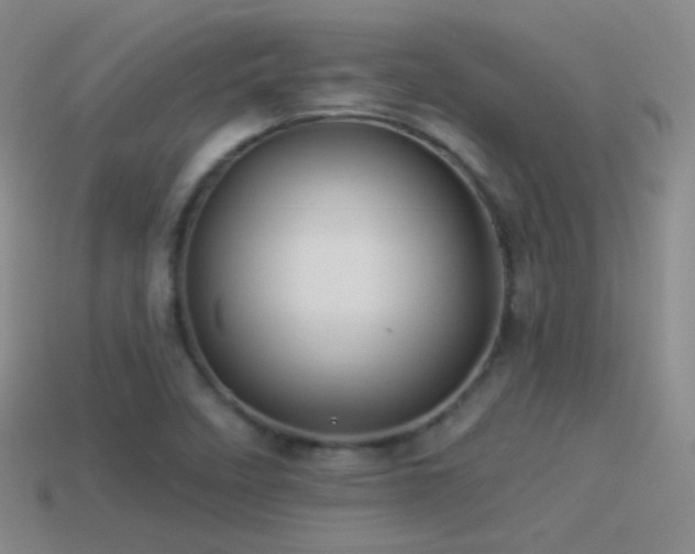 X0000114511458200910191122
