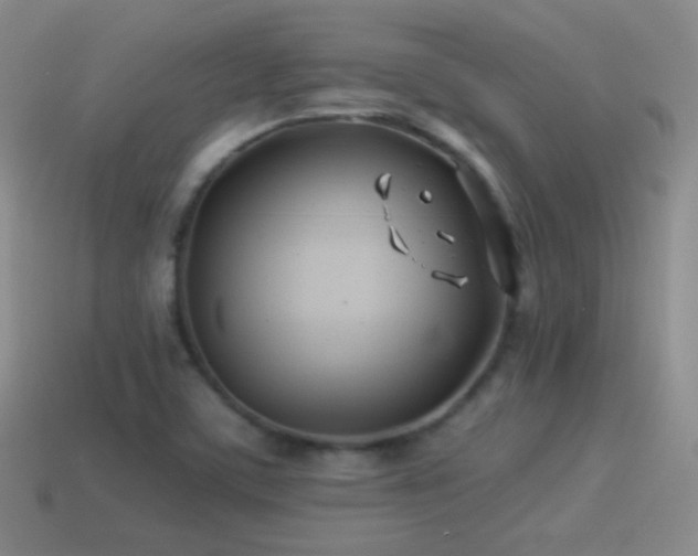 X0000114511459200910191122