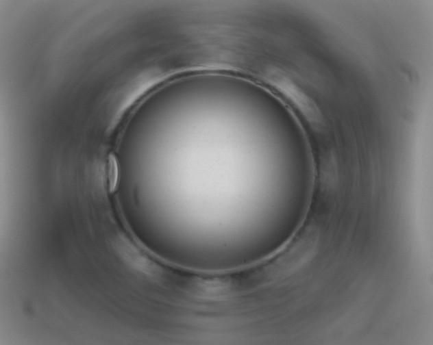 X0000114511460200910191122