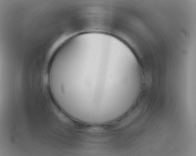 X0000114511462200910191122