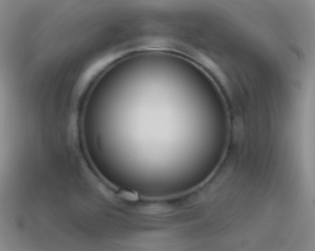 X0000114511464200910191122