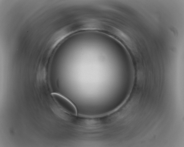 X0000114511465200910191122