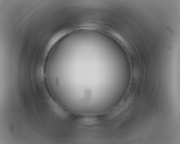 X0000114511466200910191122