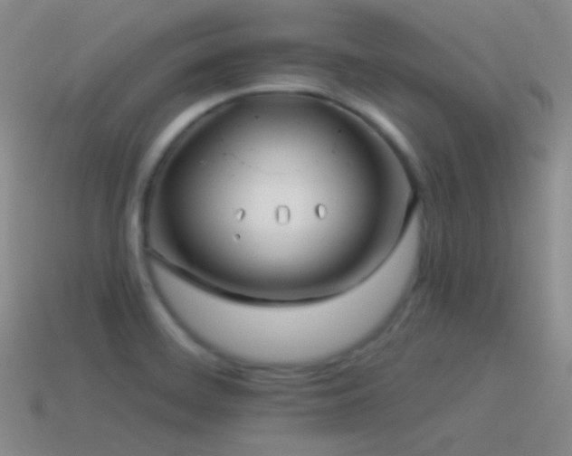 X0000114511468200910191122