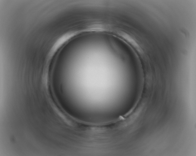X0000114511469200910191122