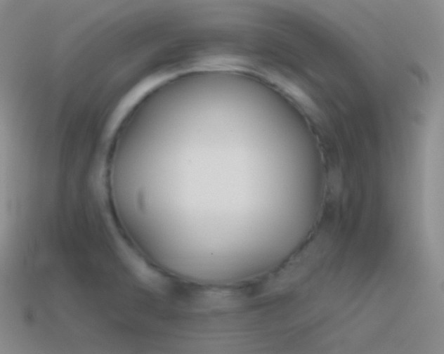 X0000114511470200910191122
