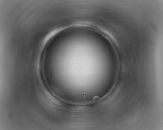 X0000114511471200910191122