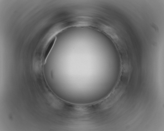 X0000114511473200910191122