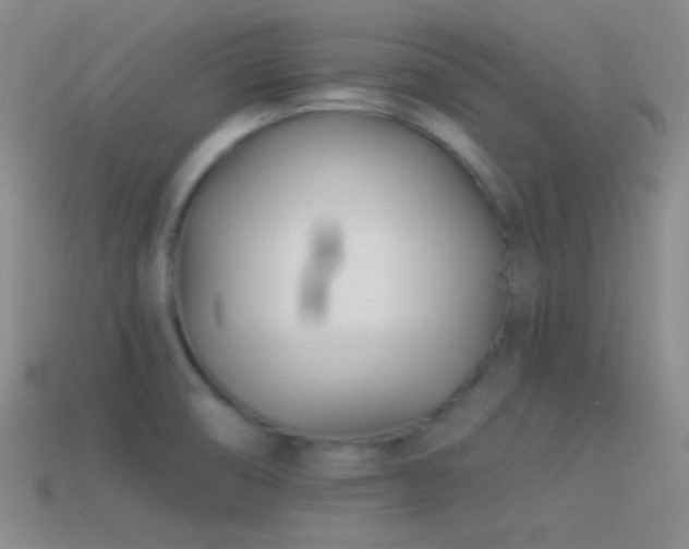 X0000114511474200910191122