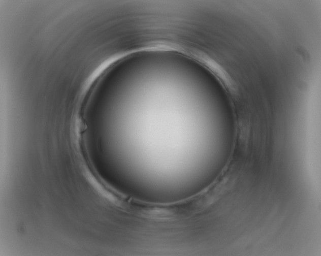 X0000114511476200910191122