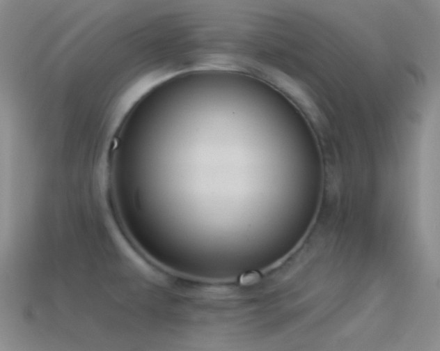 X0000114511479200910191122
