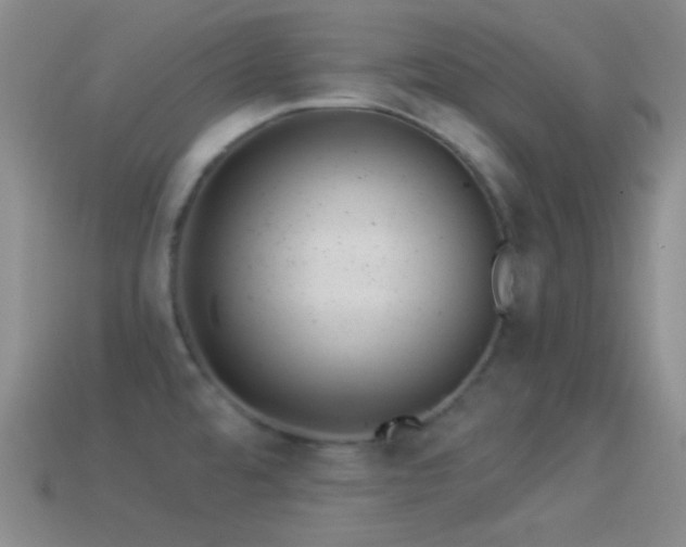 X0000114511480200910191122