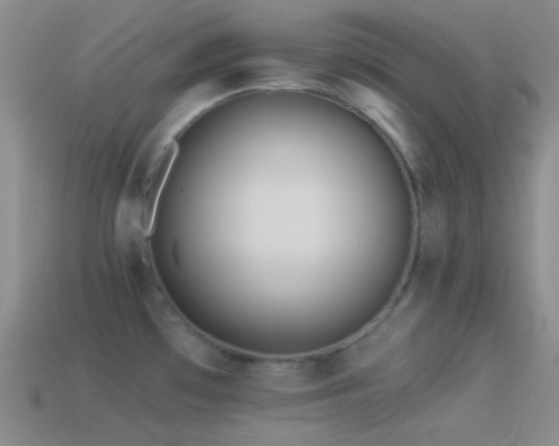 X0000114511481200910191122