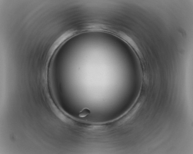 X0000114511482200910191122