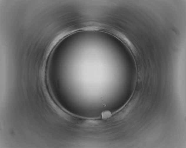X0000114511483200910191122