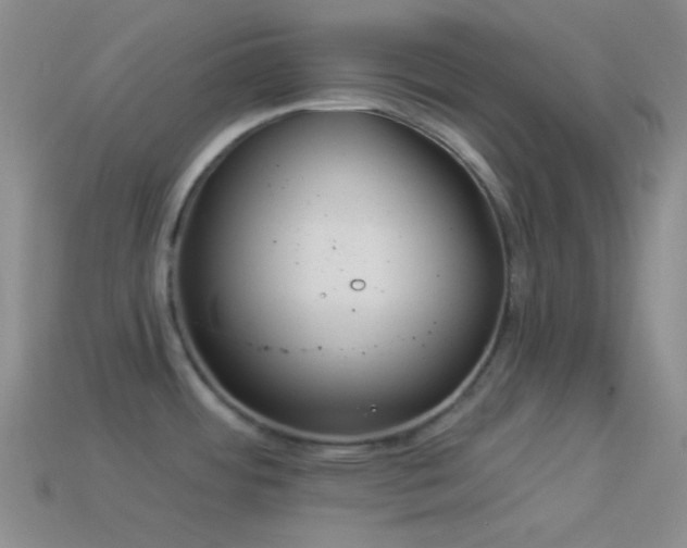 X0000114511484200910191122