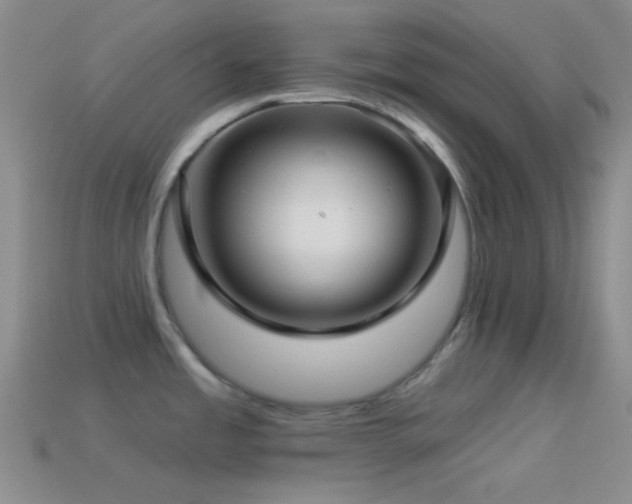 X0000114511485200910191122