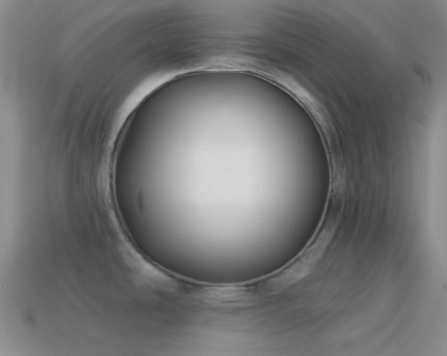 X0000114511486200910191122