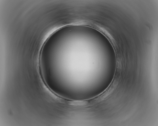 X0000114511487200910191122