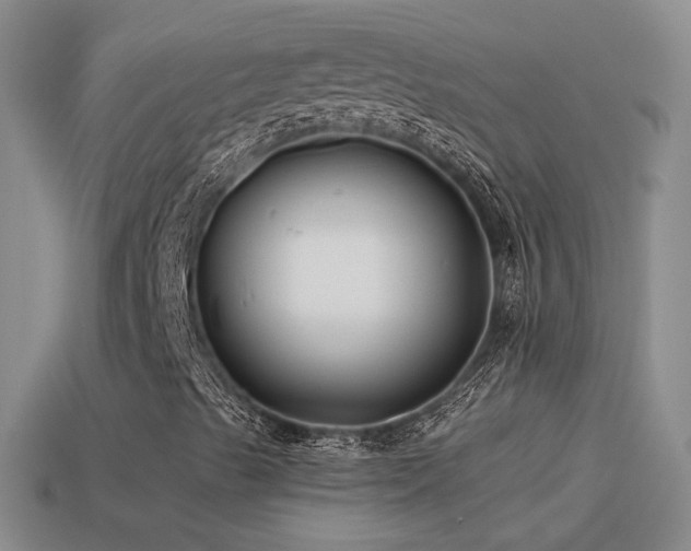 X0000114511489200910191121