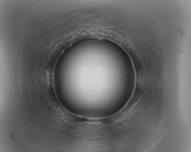 X0000114511490200910191121