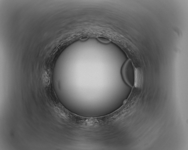 X0000114511491200910191121