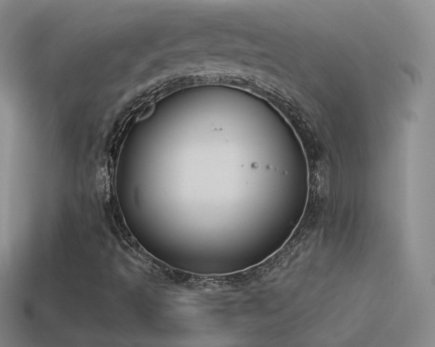 X0000114511493200910191121