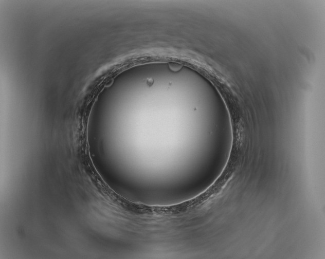 X0000114511494200910191121